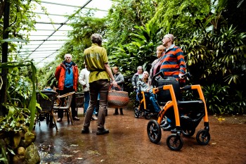 Sortie en fauteuil roulant ou déambulateur