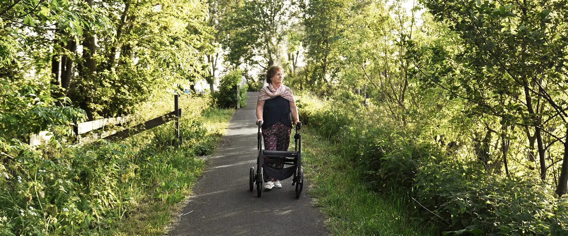 Rollators voor senioren