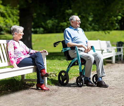 walker wheelchair combo